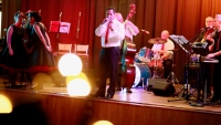 Back to the 50s Live Show